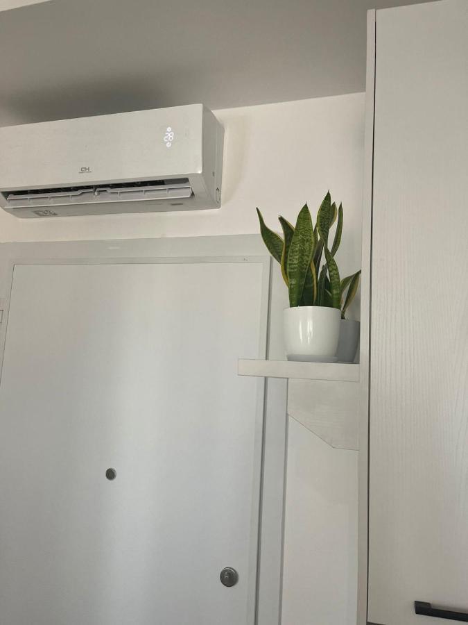 Comfy Nest Apartment- Free Parking 地拉那 外观 照片